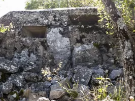 Ligne Maginot - BAISSE DU LOUP - (Blockhaus pour arme infanterie) - Vu de face
Le troisième créneau est caché par un arbre