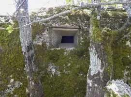 Ligne Maginot - BAISSE DU LOUP - (Blockhaus pour arme infanterie) - Créneau ouest