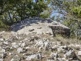Ligne Maginot - BAISSE DU LOUP - (Blockhaus pour arme infanterie) - Le dessus vu du S-SE
Le premier créneau se trouve à droite sur la photo