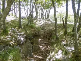 Ligne Maginot - BAISSE DU LOUP - (Blockhaus pour arme infanterie) - Tranchée d'accès