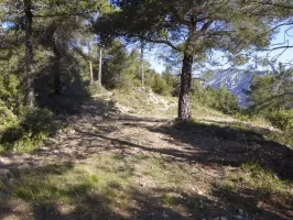 Ligne Maginot - COL DE RENCUREL - (Divers) - Le Col