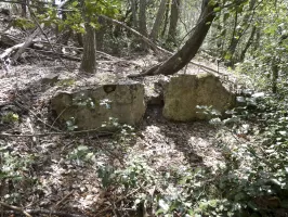 Ligne Maginot - COL DE ROULABRE - (Abri) - 