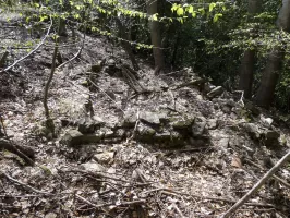 Ligne Maginot - COL DE ROULABRE - (Abri) - 