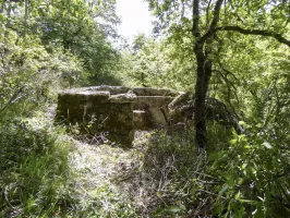 Ligne Maginot - COL DE SEGRA CENTRE - (Cuve pour arme d'infanterie) - 