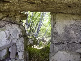 Ligne Maginot - COL DE SEGRA NORD - (Blockhaus pour arme infanterie) - 