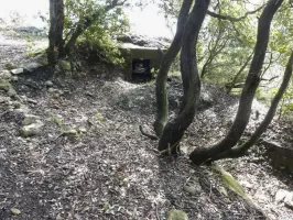 Ligne Maginot - COL DE VERROUX EST 1 - (Blockhaus pour arme infanterie) - 