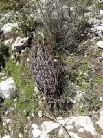 Ligne Maginot - COL DE VERROUX EST 1 - (Blockhaus pour arme infanterie) - 