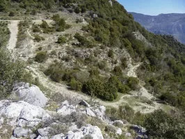 Ligne Maginot - COL DE VERROUX OUEST - (Blockhaus pour arme infanterie) - Vue sur le col