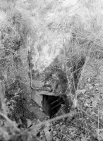 Ligne Maginot - COLLET DU PILON - BALMETTA - (Ouvrage d'infanterie) - L'entrée Nord