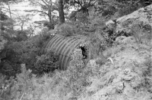 Ligne Maginot - COTE 902 - (Abri) - 