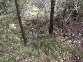 Ligne Maginot - COTE 902 - (Abri) - Environnement
Encuvement nord pour mortier
