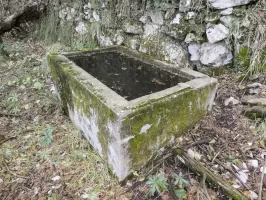 Ligne Maginot - COTE 902 NORD - (Blockhaus pour arme infanterie) - Environnement
Captage d'une précieuse source pour le secteur