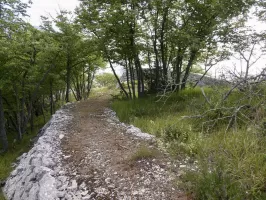 Ligne Maginot - CROIX DE FOISSA - (Observatoire d'artillerie) - Accès de l'observatoire par les terrasses de tir (Séré de Rivières)