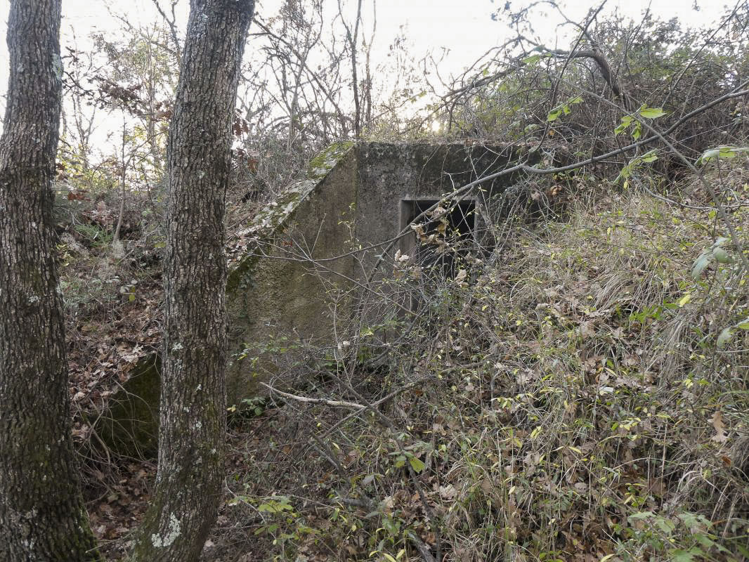Ligne Maginot - AGAISEN COL - (Abri) - 