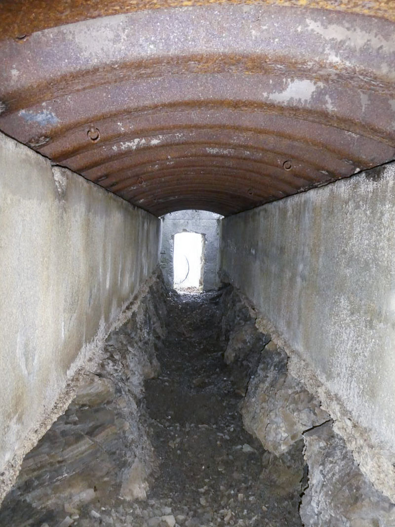 Ligne Maginot - AGAISEN COL - (Abri) - 