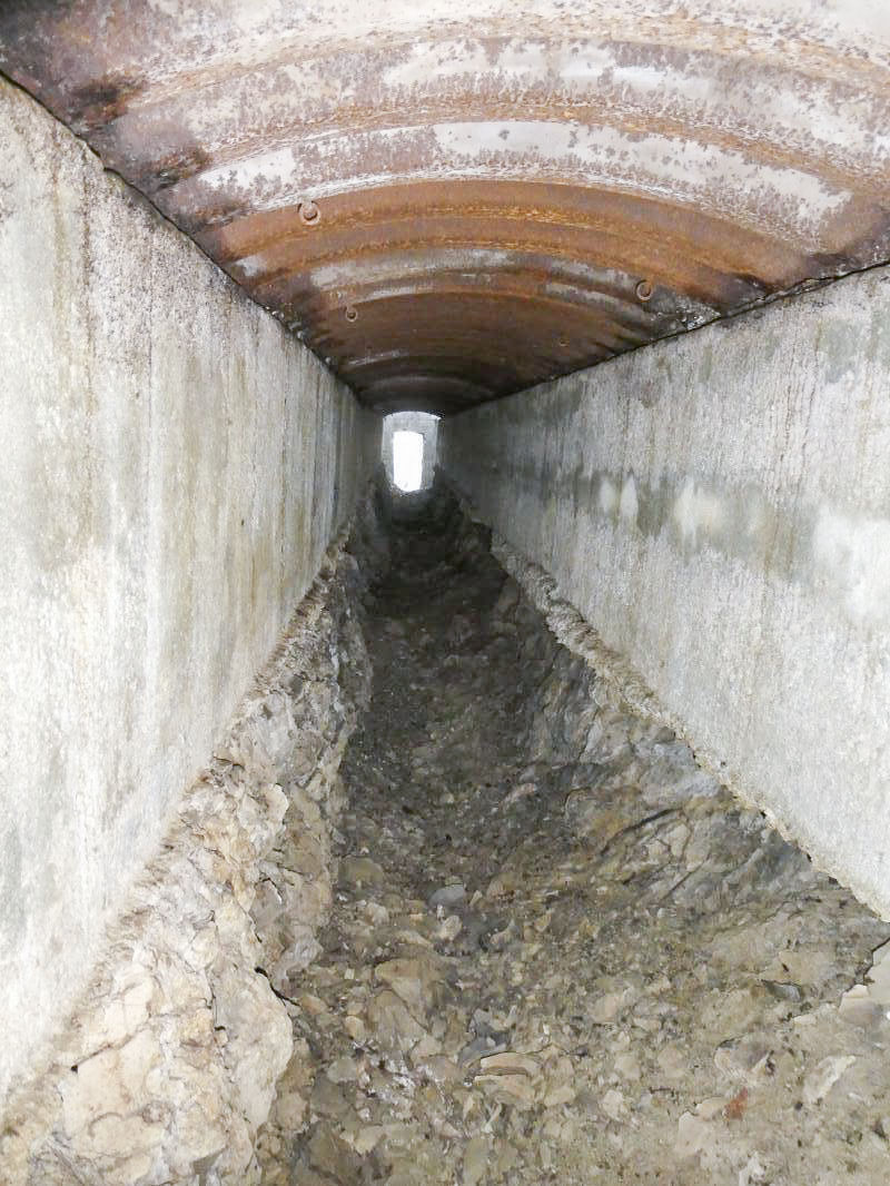Ligne Maginot - AGAISEN COL - (Abri) - 
