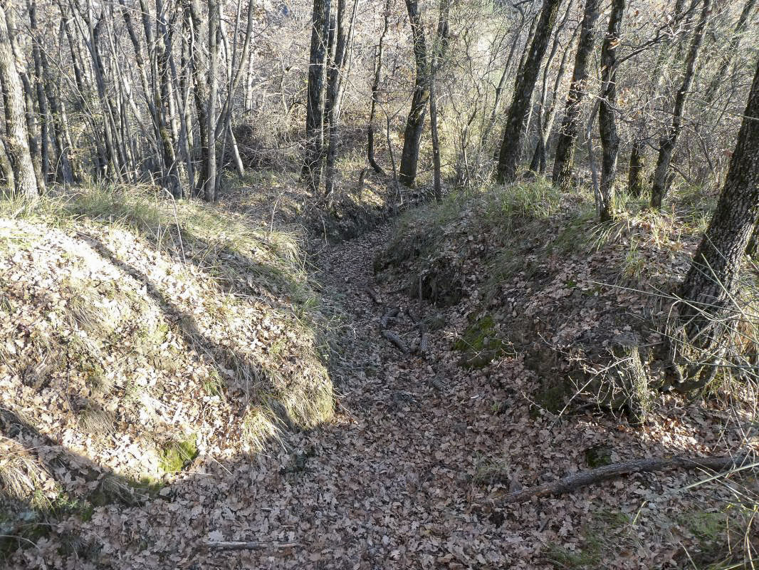 Ligne Maginot - AGAISEN COL - (Abri) - Position à proximité