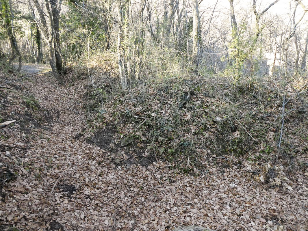 Ligne Maginot - AGAISEN COL - (Abri) - Position à proximité