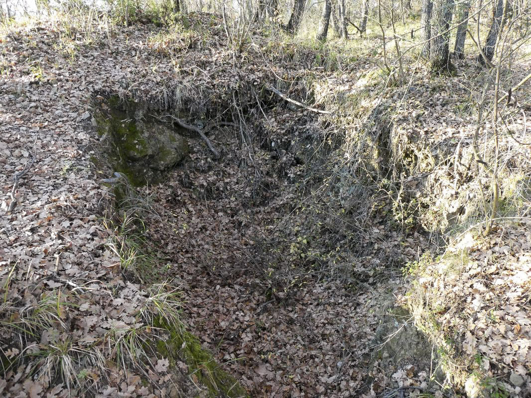 Ligne Maginot - AGAISEN COL - (Abri) - Position à proximité