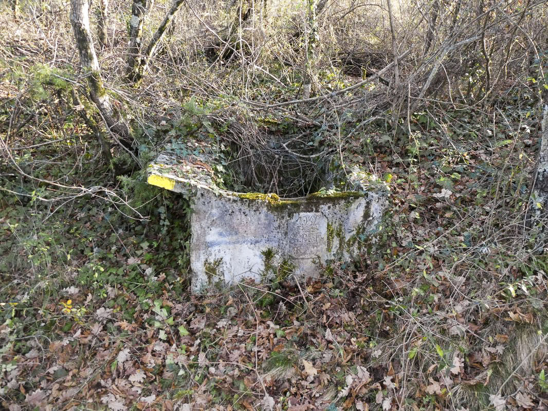 Ligne Maginot - AGAISEN COL - (Abri) - Position à proximité
