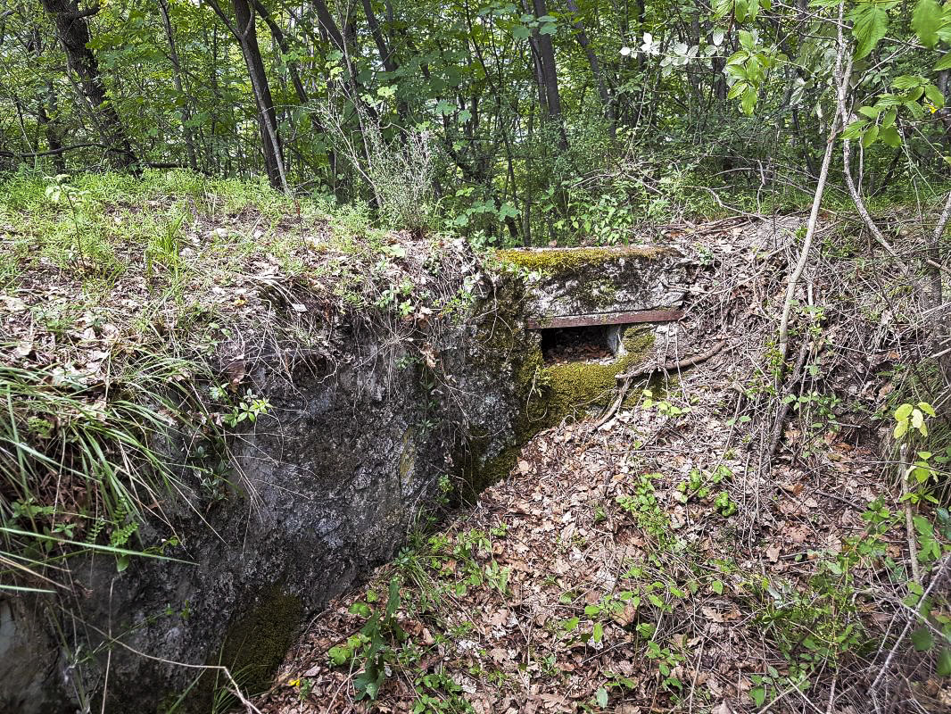 Ligne Maginot - BAISSE DE FIGUIERA 1 - (Cuve pour arme d'infanterie) - 