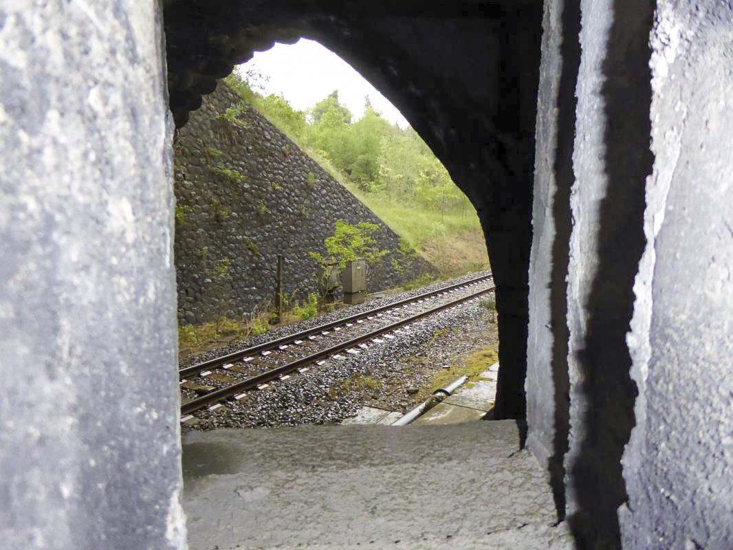 Ligne Maginot - BRAUS NORD (TUNNEL DE ) - (Blockhaus pour arme infanterie) - Blockhaus de défense gauche 