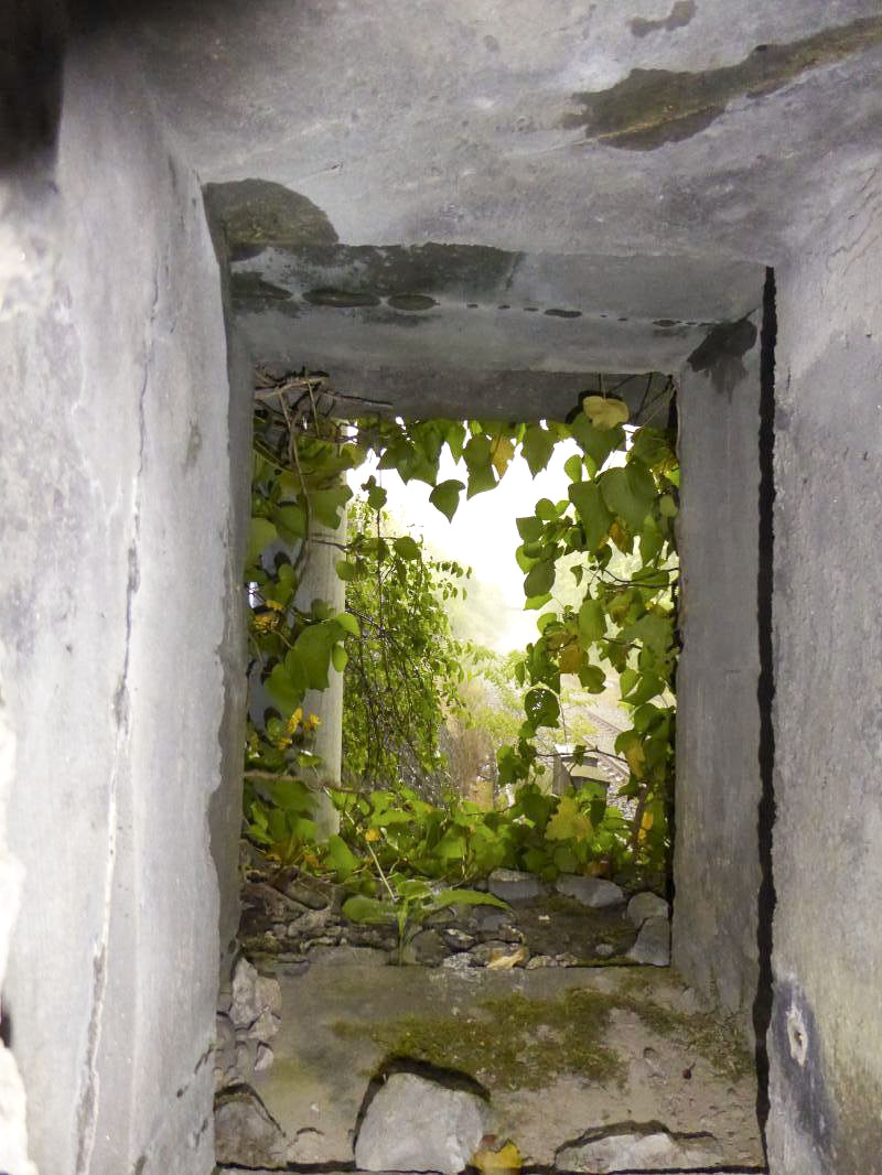 Ligne Maginot - BRAUS NORD (TUNNEL DE ) - (Blockhaus pour arme infanterie) - 