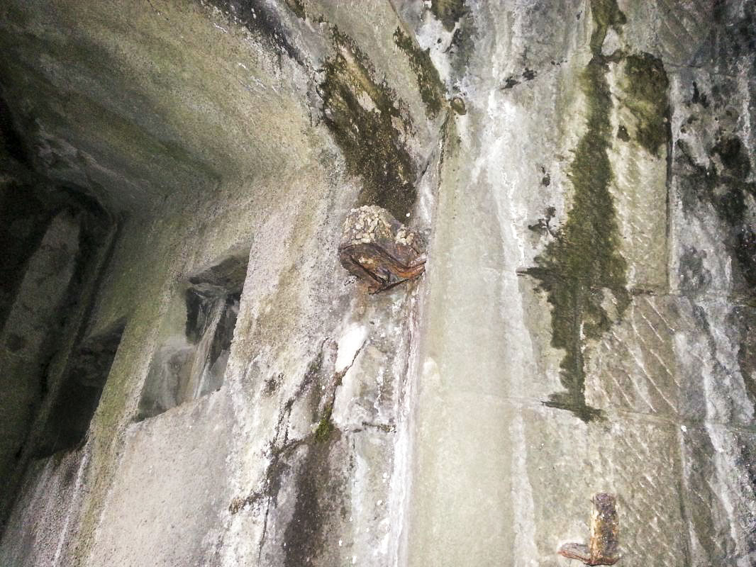 Ligne Maginot - BRAUS NORD (TUNNEL DE ) - (Blockhaus pour arme infanterie) - Gond de la porte