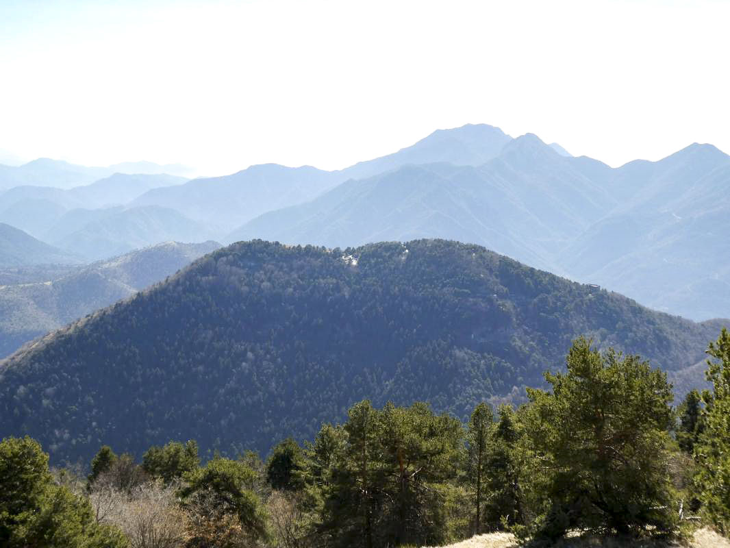 Ligne Maginot - CROIX ALBAREA - (Observatoire d'artillerie) - Vue depuis l'observatoire