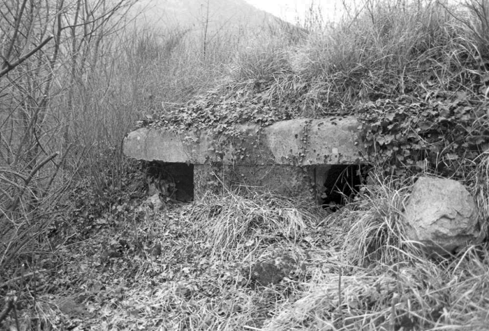 Ligne Maginot - CUNI - (Blockhaus pour arme infanterie) - 