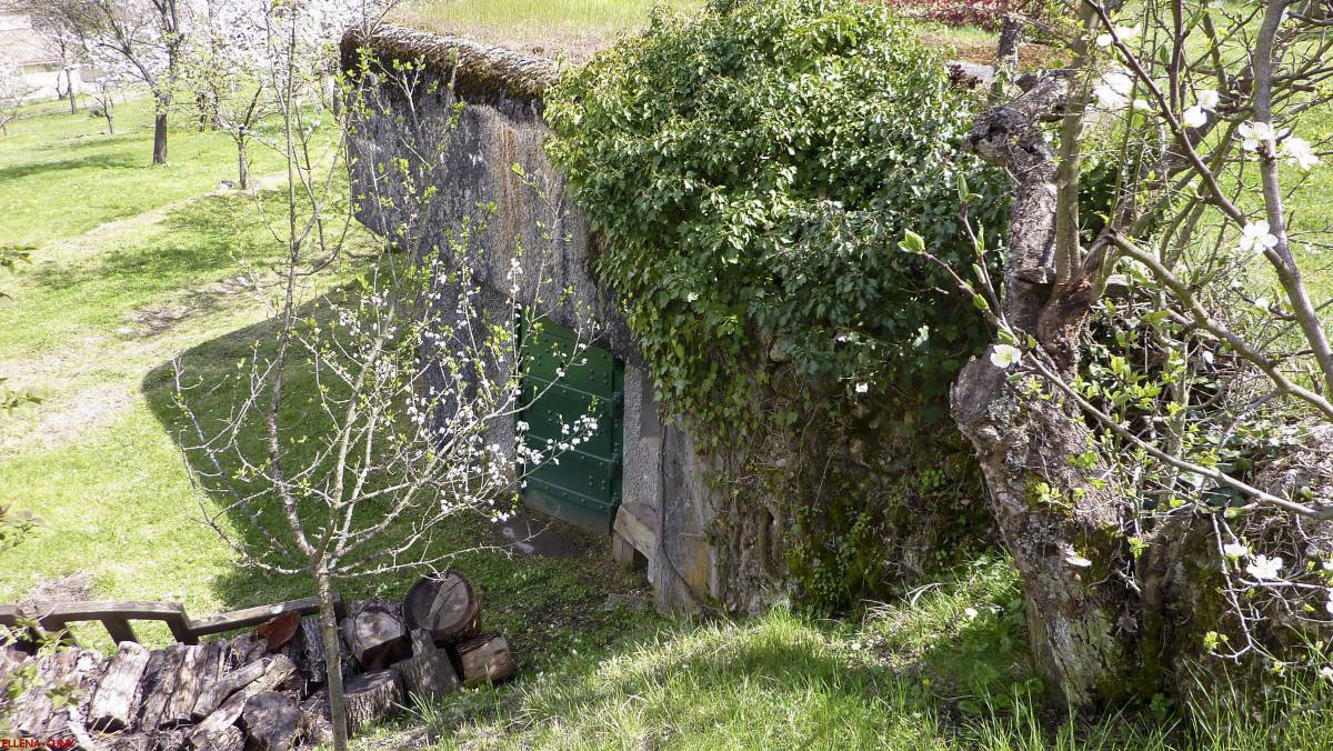 Ligne Maginot - O24 - SAINT CHRISTOPHE SUD - (Casemate d'infanterie - Simple) - 