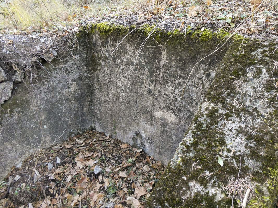 Ligne Maginot - SOURCE DE LA MULE - (Divers) - Regard 2 
Sur la piste.
Sortie vidange