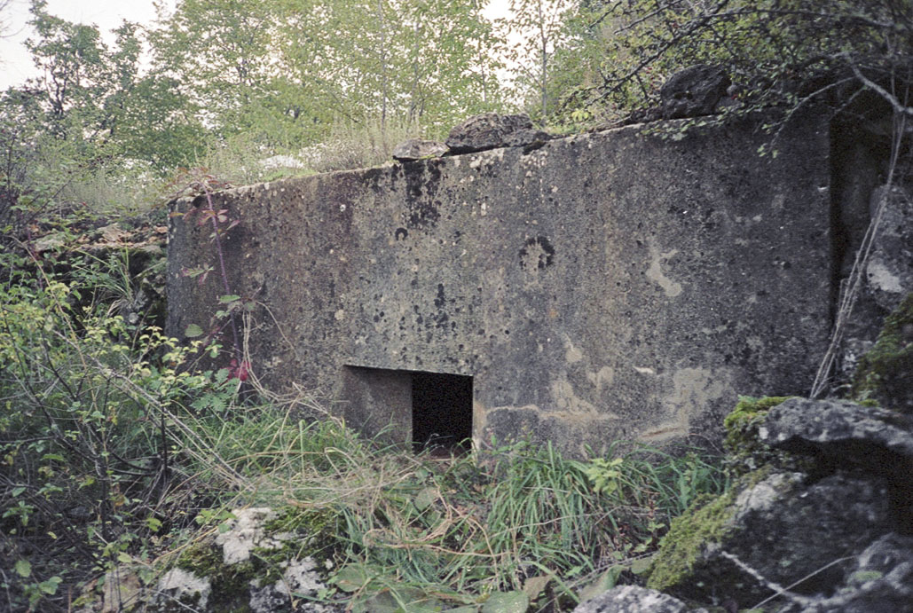 Ligne Maginot - AVELLAN NORD 3 - (Blockhaus pour arme infanterie) - 