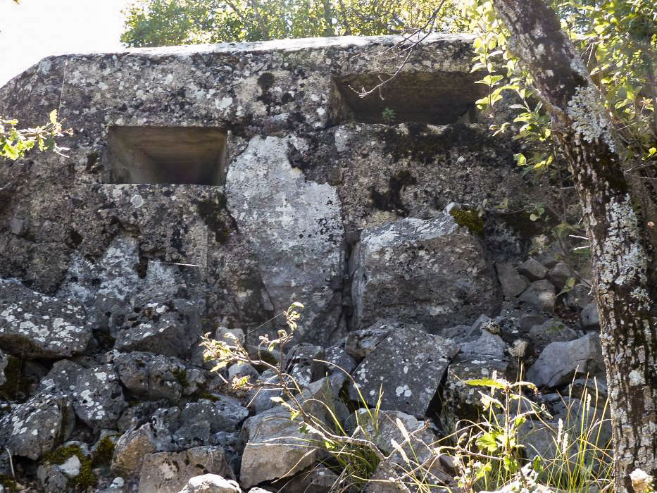 Ligne Maginot - BAISSE DU LOUP - (Blockhaus pour arme infanterie) - Vu de face
Le troisième créneau est caché par un arbre