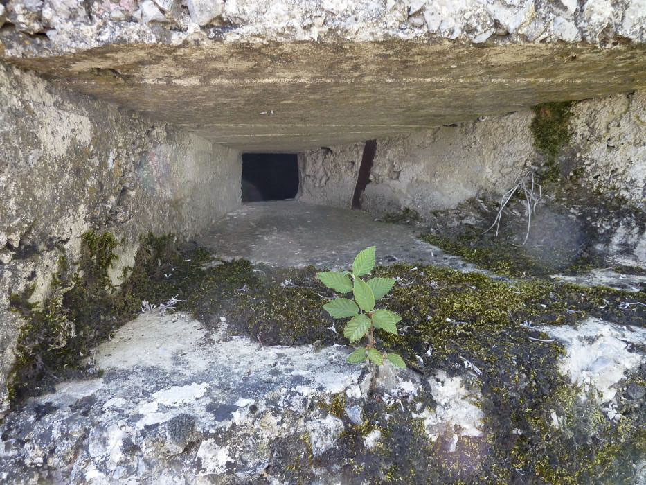 Ligne Maginot - BAISSE DU LOUP - (Blockhaus pour arme infanterie) - Détail d’un créneau