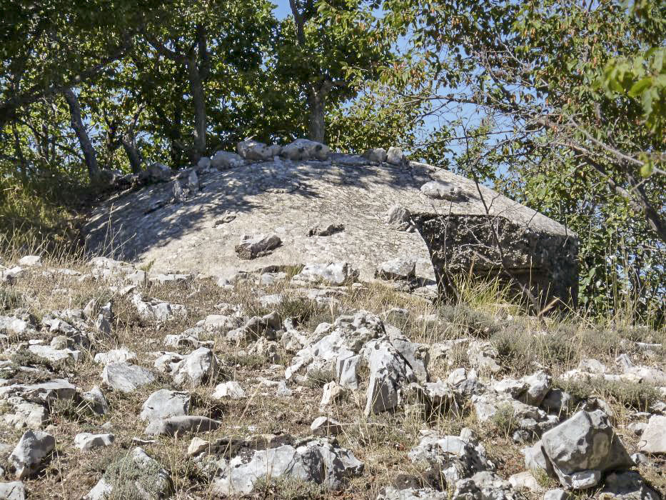 Ligne Maginot - BAISSE DU LOUP - (Blockhaus pour arme infanterie) - Le dessus vu du S-SE
Le premier créneau se trouve à droite sur la photo