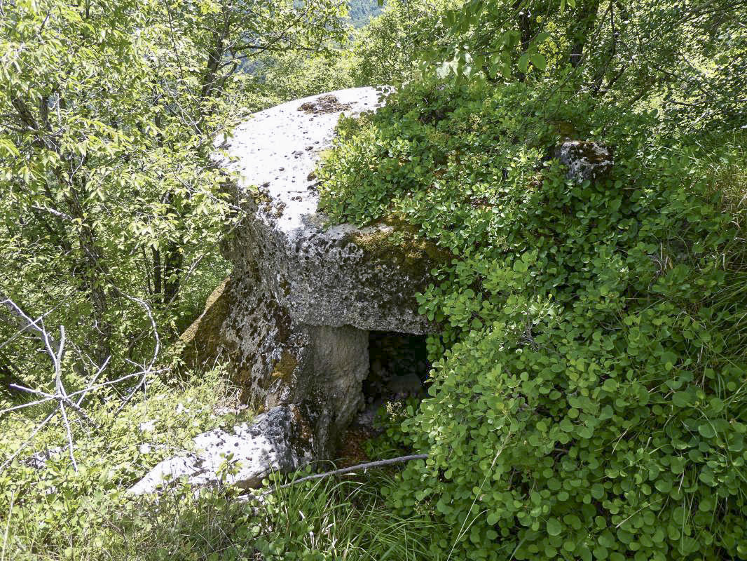 Ligne Maginot - COTE 942 NORD 2 - (Observatoire d'infanterie) - 