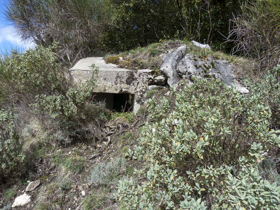 Ligne Maginot - COL DE VERROUX EST 1 - (Blockhaus pour arme infanterie) - 