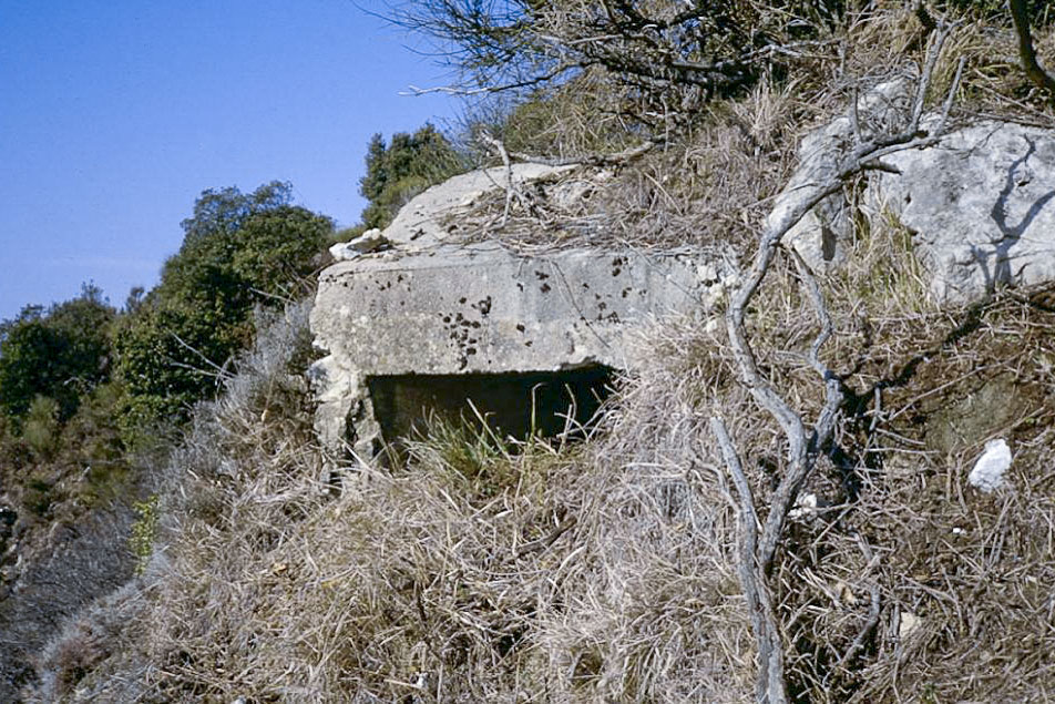 Ligne Maginot - COL DE VERROUX EST 1 - (Blockhaus pour arme infanterie) - 