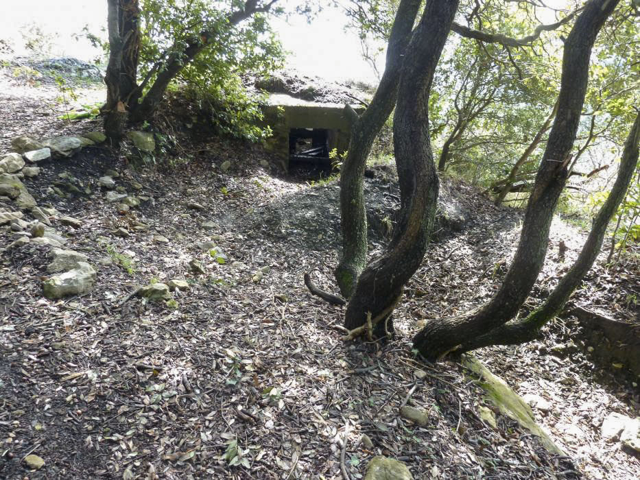 Ligne Maginot - COL DE VERROUX EST 1 - (Blockhaus pour arme infanterie) - 