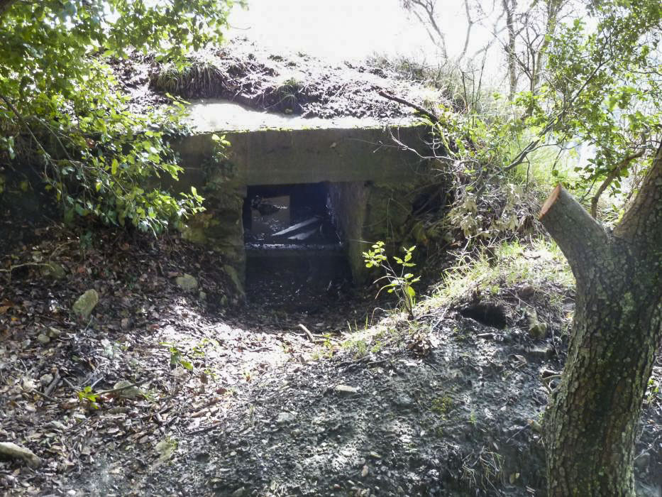 Ligne Maginot - COL DE VERROUX EST 1 - (Blockhaus pour arme infanterie) - 