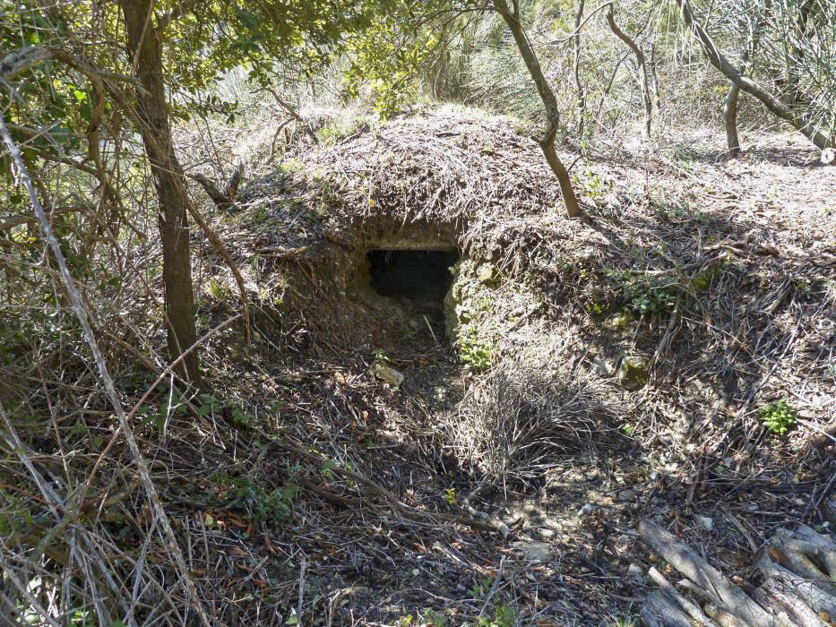 Ligne Maginot - COL DE VERROUX EST 2 - (Abri) - 