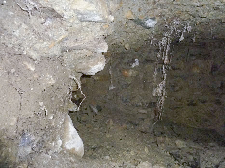 Ligne Maginot - COL DE VERROUX EST 2 - (Abri) - 