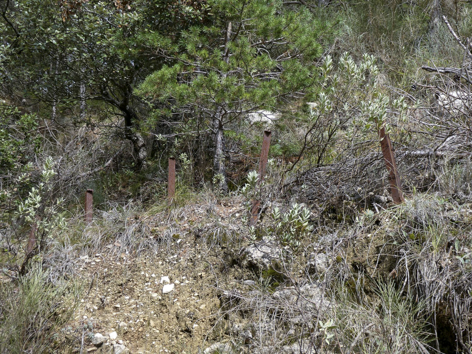 Ligne Maginot - COL DE VERROUX EST 3 - (Abri) - 