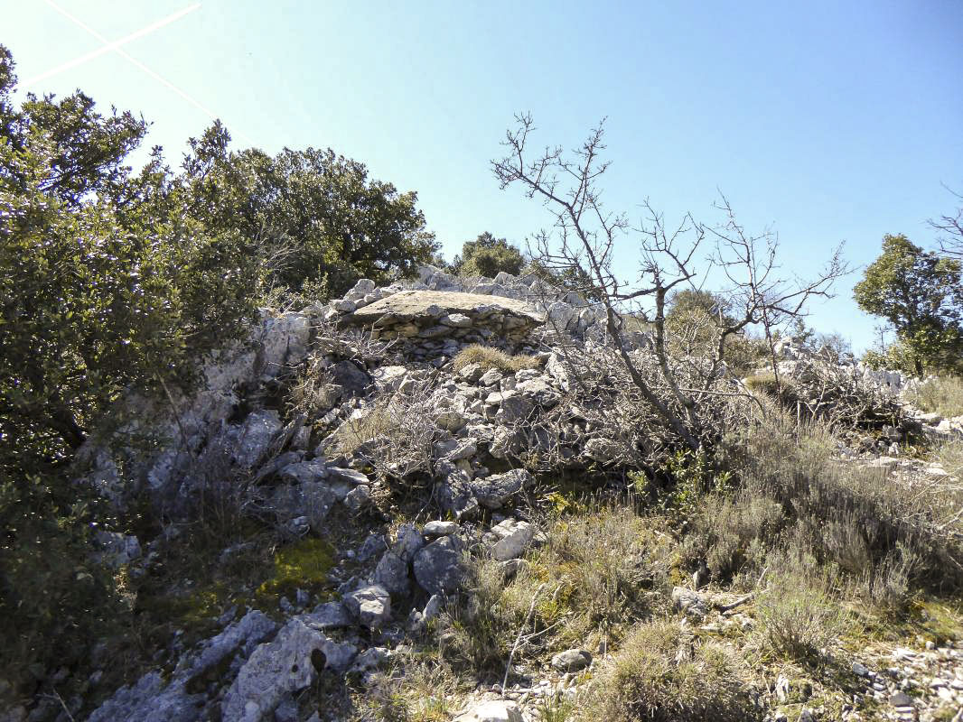 Ligne Maginot - COL DE VERROUX OUEST - (Blockhaus pour arme infanterie) - 