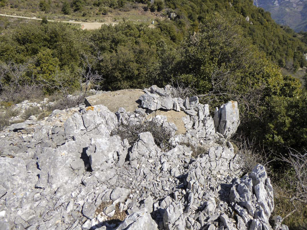Ligne Maginot - COL DE VERROUX OUEST - (Blockhaus pour arme infanterie) - 