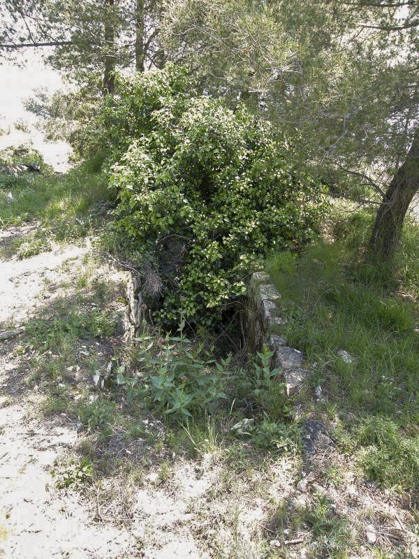 Ligne Maginot - CORNILLAT - (Observatoire indéterminé) - Accès à la cuve par une tranchée.