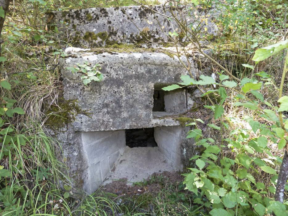 Ligne Maginot - COTE 902 CENTRE 1 - (Blockhaus pour arme infanterie) - 