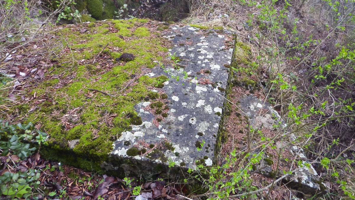 Ligne Maginot - COTE 902 CENTRE 1 - (Blockhaus pour arme infanterie) - 