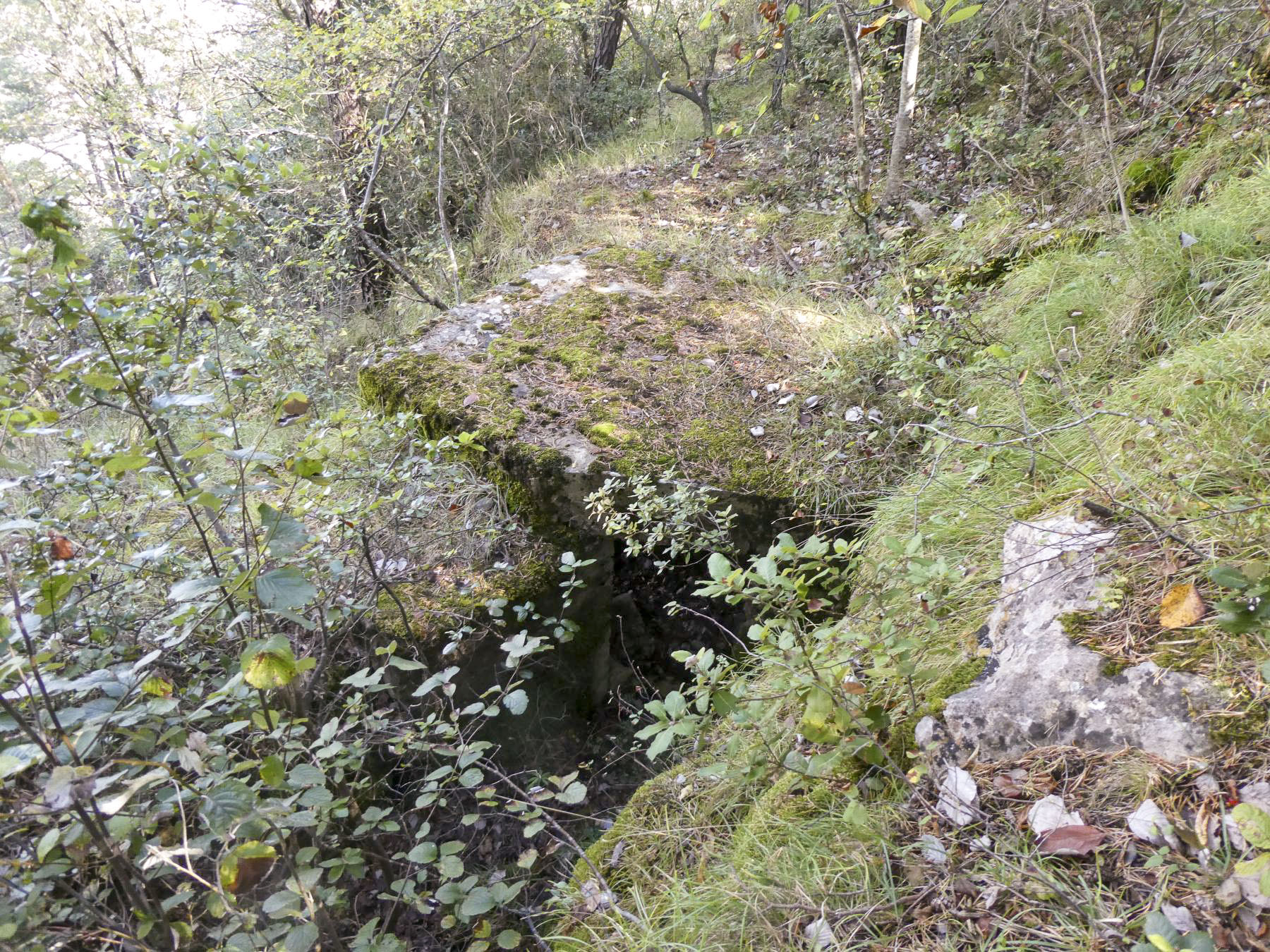 Ligne Maginot - COTE 902 CENTRE 1 - (Blockhaus pour arme infanterie) - 